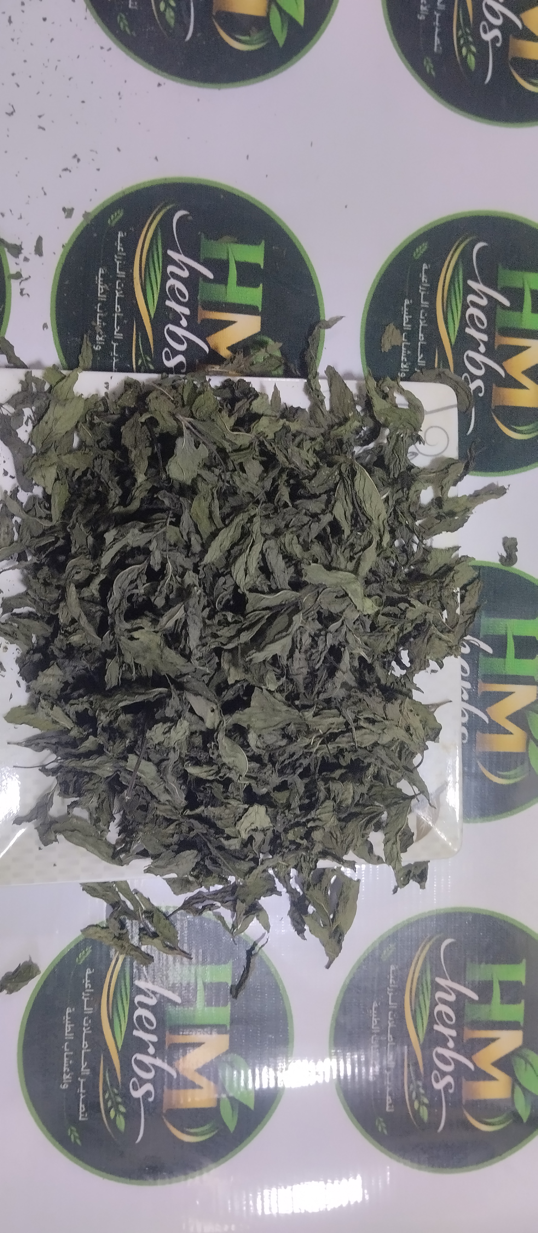 Mint — Egyptian Origin • Premium Grade