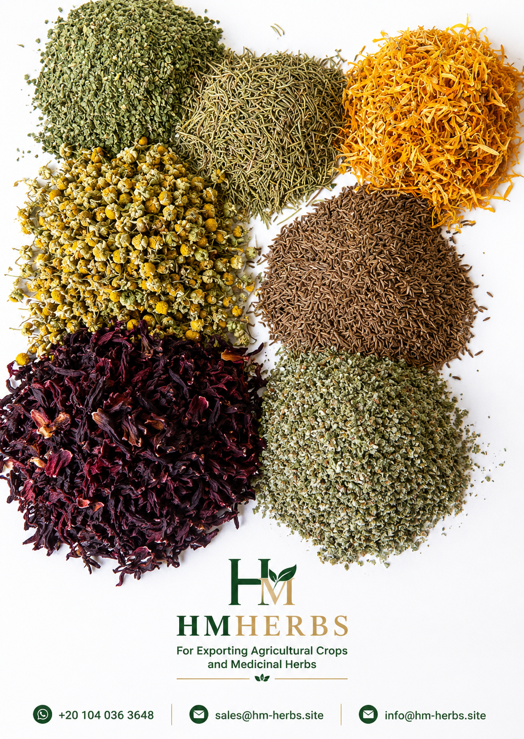 Herbs — Egyptian Origin • Premium Grade