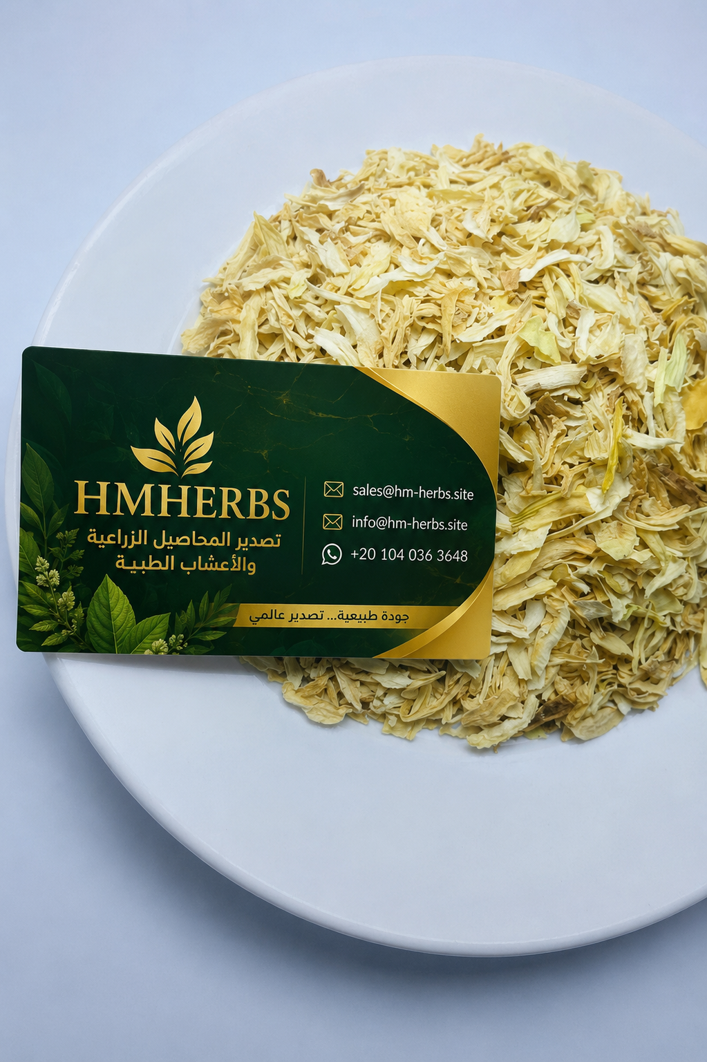 Onion — Egyptian Origin • Premium Grade