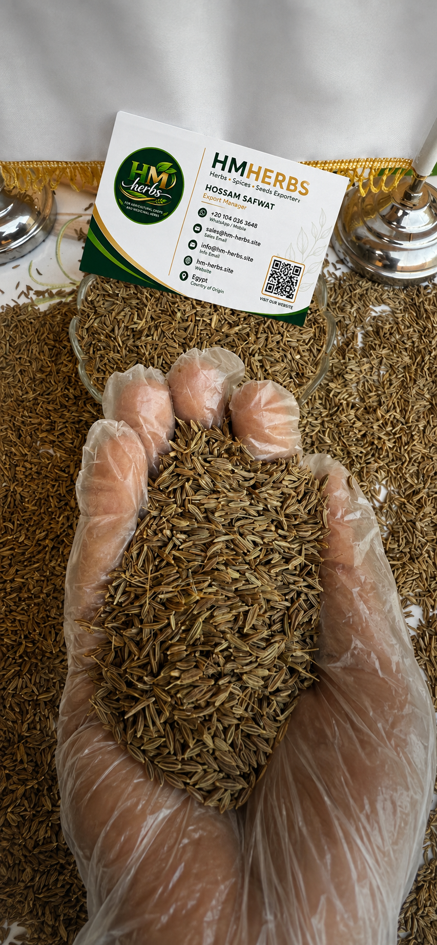 Caraway — Egyptian Origin • Premium Grade