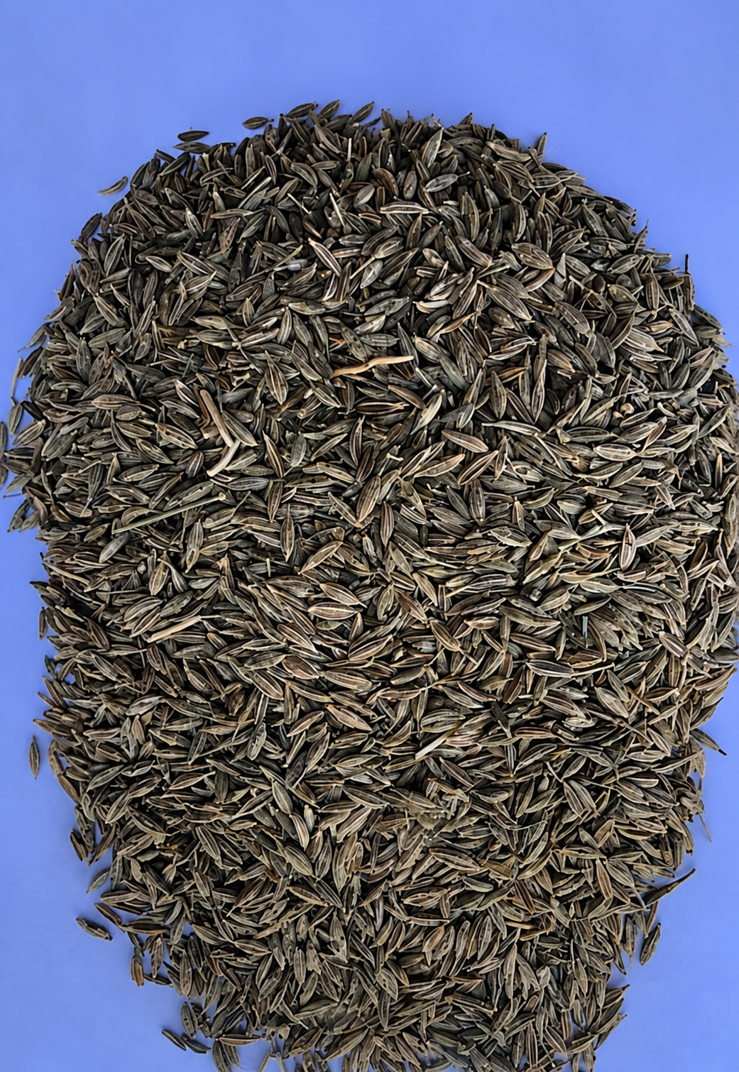 Cumin — Egyptian Origin • Premium Grade