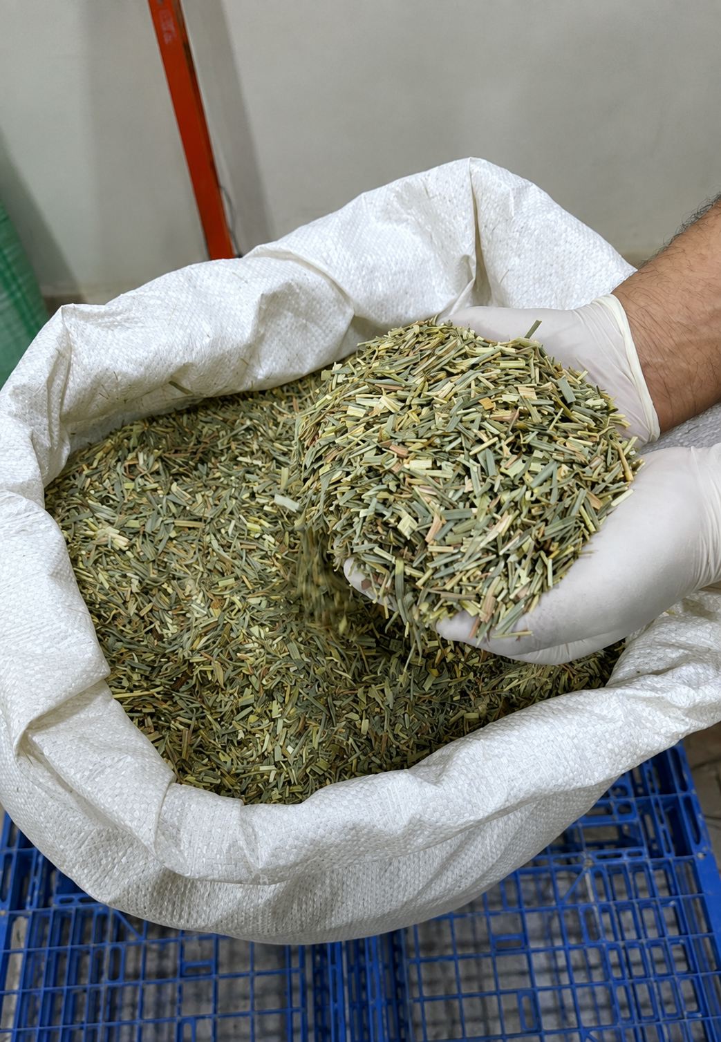 Lemon grass — Egyptian Origin • Premium Grade