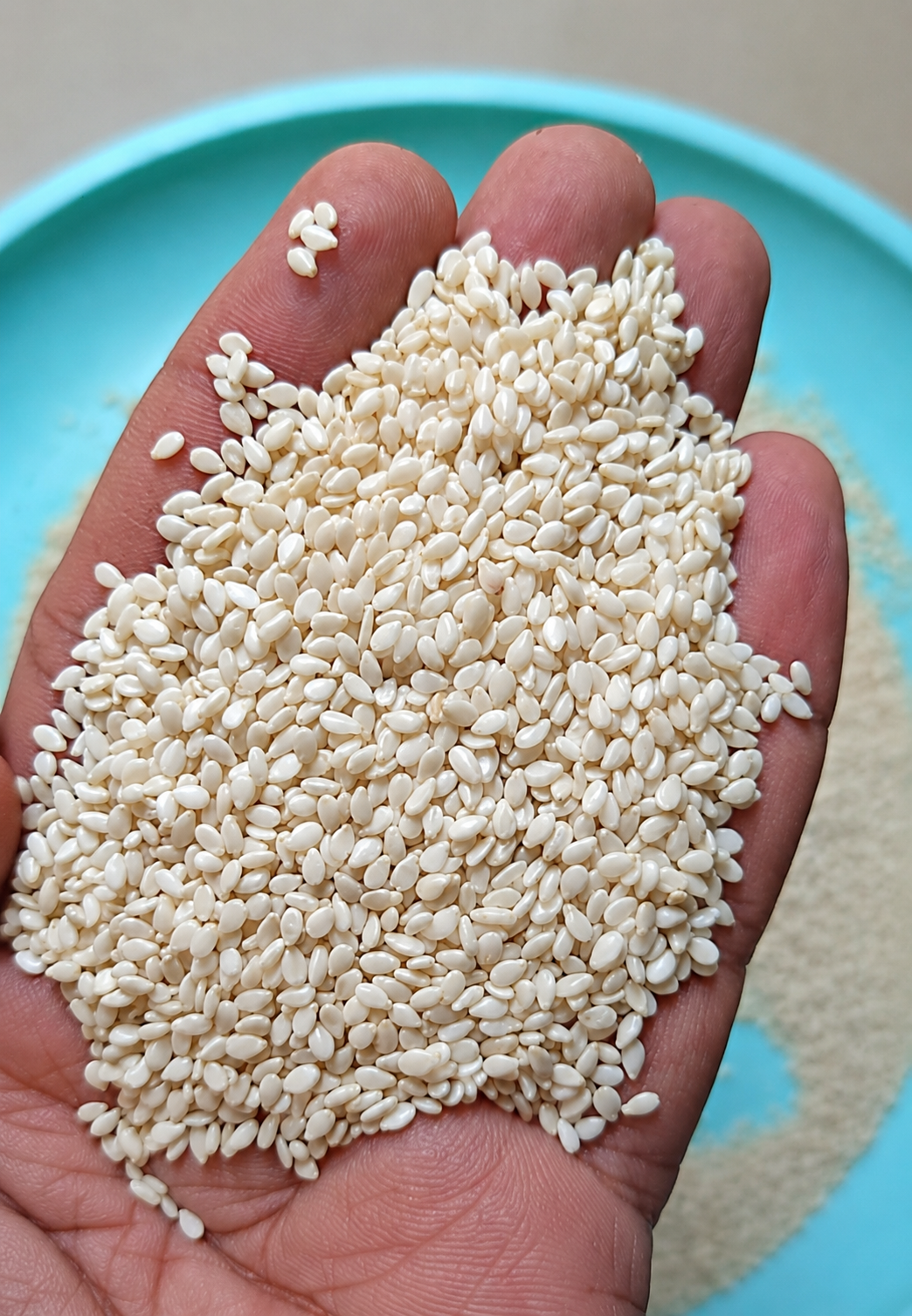 Semsem — Egyptian Origin • Premium Grade